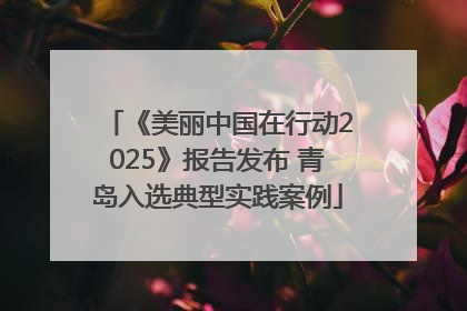 《美丽中国在行动2025》报告发布 青岛入选典型实践案例