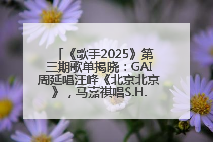 《歌手2025》第三期歌单揭晓：GAI周延唱汪峰《北京北京》，马嘉祺唱S.H.E《你曾是少年》