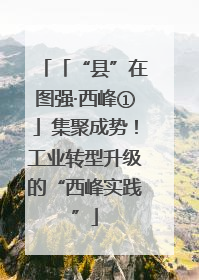 「“县”在图强·西峰①」集聚成势！工业转型升级的“西峰实践”