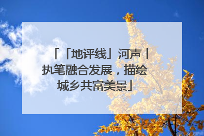 「地评线」河声丨执笔融合发展，描绘城乡共富美景