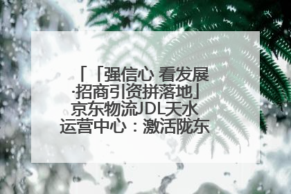 「强信心 看发展·招商引资拼落地」京东物流JDL天水运营中心：激活陇东南区域经济新引擎