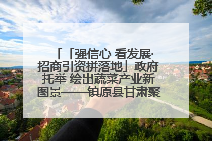「强信心 看发展·招商引资拼落地」政府托举 绘出蔬菜产业新图景——镇原县甘肃聚广利现代设施蔬菜种植基地见闻