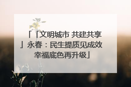 「文明城市 共建共享」永春：民生提质见成效 幸福底色再升级