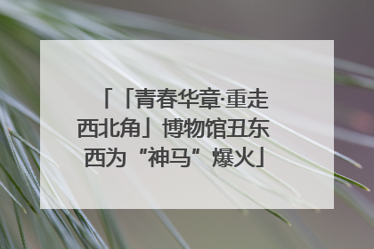 「青春华章·重走西北角」博物馆丑东西为“神马”爆火