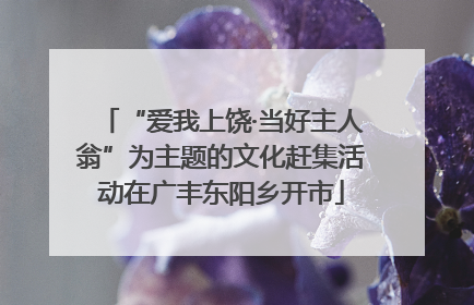 “爱我上饶·当好主人翁”为主题的文化赶集活动在广丰东阳乡开市