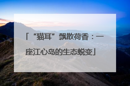 “猫耳”飘散荷香：一座江心岛的生态蜕变
