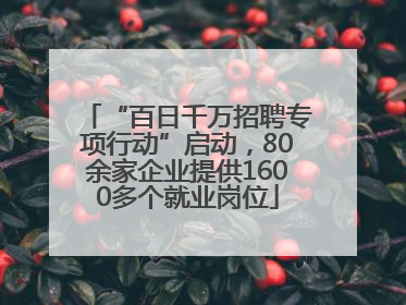 “百日千万招聘专项行动”启动，80余家企业提供1600多个就业岗位