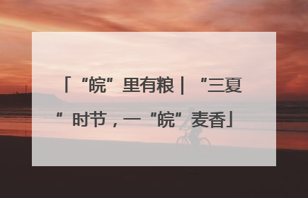 “皖”里有粮｜“三夏”时节，一“皖”麦香
