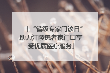“省级专家门诊日”助力江陵患者家门口享受优质医疗服务