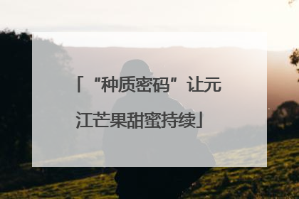 “种质密码”让元江芒果甜蜜持续