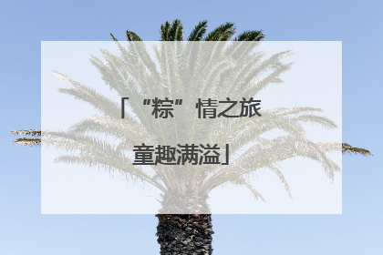 “粽”情之旅 童趣满溢