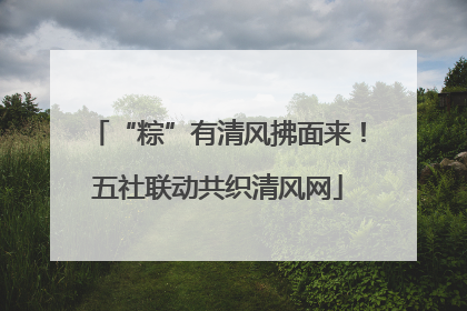 “粽”有清风拂面来！五社联动共织清风网