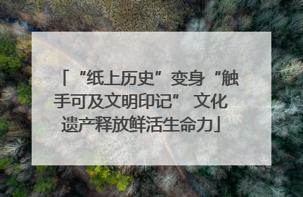 “纸上历史”变身“触手可及文明印记” 文化遗产释放鲜活生命力