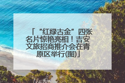 “红绿古金”四张名片惊艳亮相！吉安文旅招商推介会在青原区举行(图)