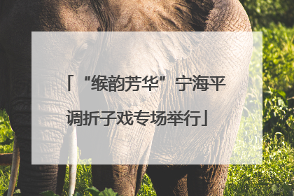 “缑韵芳华”宁海平调折子戏专场举行