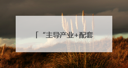 “主导产业+配套产业+衍生产业” 镇域经济创新发展释放强劲发展动能