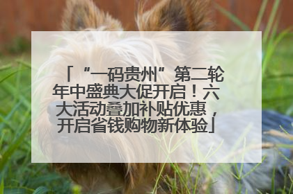 “一码贵州”第二轮年中盛典大促开启！六大活动叠加补贴优惠，开启省钱购物新体验