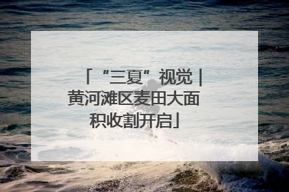 “三夏”视觉｜黄河滩区麦田大面积收割开启