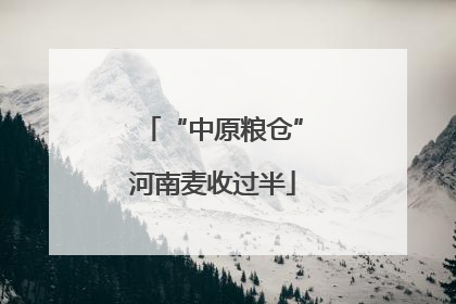 “中原粮仓”河南麦收过半
