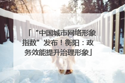 “中国城市网络形象指数”发布！衡阳：政务效能提升治理形象