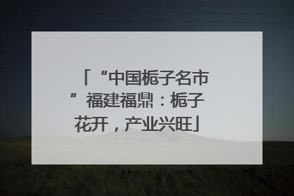 “中国栀子名市”福建福鼎：栀子花开，产业兴旺