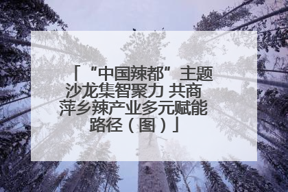 “中国辣都”主题沙龙集智聚力 共商萍乡辣产业多元赋能路径（图）