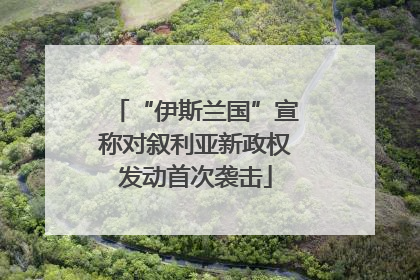 “伊斯兰国”宣称对叙利亚新政权发动首次袭击