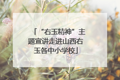 “右玉精神”主题宣讲走进山西右玉各中小学校