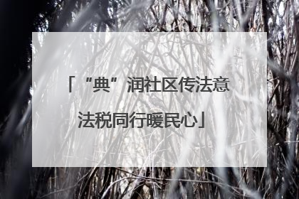 “典”润社区传法意 法税同行暖民心