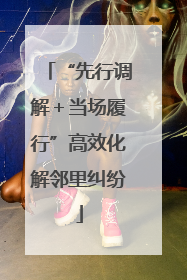“先行调解＋当场履行”高效化解邻里纠纷