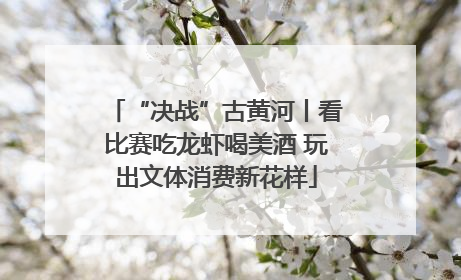 “决战”古黄河丨看比赛吃龙虾喝美酒 玩出文体消费新花样