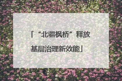 “北疆枫桥”释放基层治理新效能