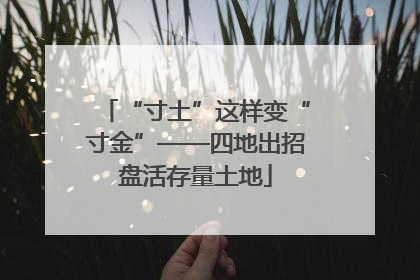 “寸土”这样变“寸金”——四地出招盘活存量土地
