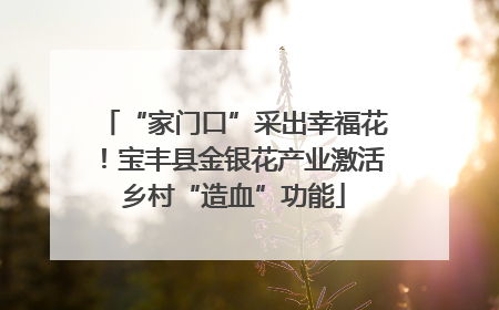 “家门口”采出幸福花！宝丰县金银花产业激活乡村“造血”功能