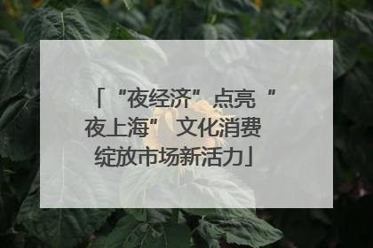 “夜经济”点亮“夜上海” 文化消费绽放市场新活力