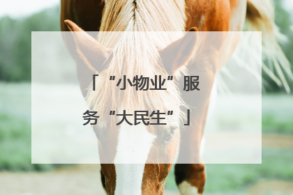 “小物业”服务“大民生”