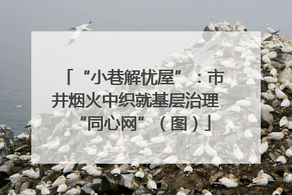 “小巷解忧屋”：市井烟火中织就基层治理“同心网”（图）