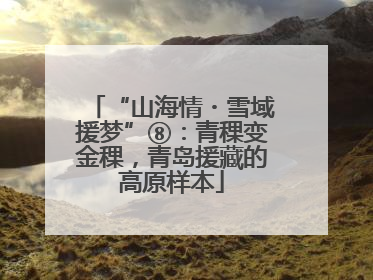 “山海情・雪域援梦”⑧：青稞变金稞，青岛援藏的高原样本