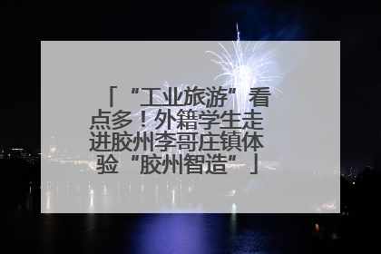 “工业旅游”看点多！外籍学生走进胶州李哥庄镇体验“胶州智造”