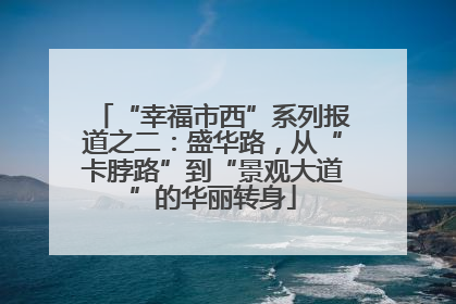 “幸福市西”系列报道之二：盛华路，从“卡脖路”到“景观大道”的华丽转身