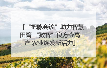 “把脉会诊”助力智慧田管 “数智”良方夺高产 农业焕发新活力