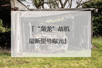 “枭龙”战机最新型号曝光