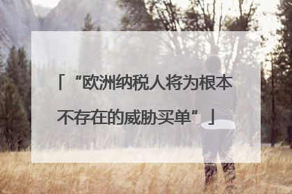 “欧洲纳税人将为根本不存在的威胁买单”