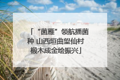 “菌雁”领航播菌种 山西垣曲望仙村椴木成金绘振兴