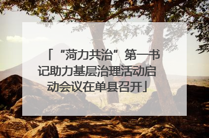 “菏力共治”第一书记助力基层治理活动启动会议在单县召开