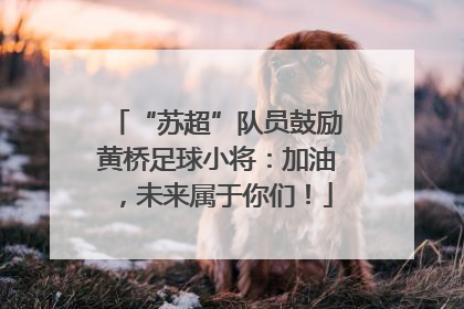 “苏超”队员鼓励黄桥足球小将：加油，未来属于你们！