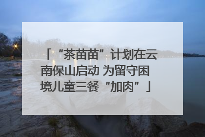 “茶苗苗”计划在云南保山启动 为留守困境儿童三餐“加肉”