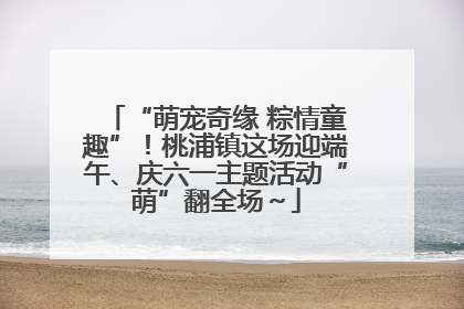 “萌宠奇缘 粽情童趣”！桃浦镇这场迎端午、庆六一主题活动“萌”翻全场～