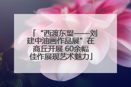 “西渡东望——刘建中油画作品展”在商丘开展 60余幅佳作展现艺术魅力