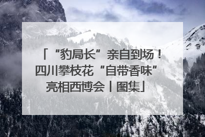 “豹局长”亲自到场！四川攀枝花“自带香味”亮相西博会丨图集